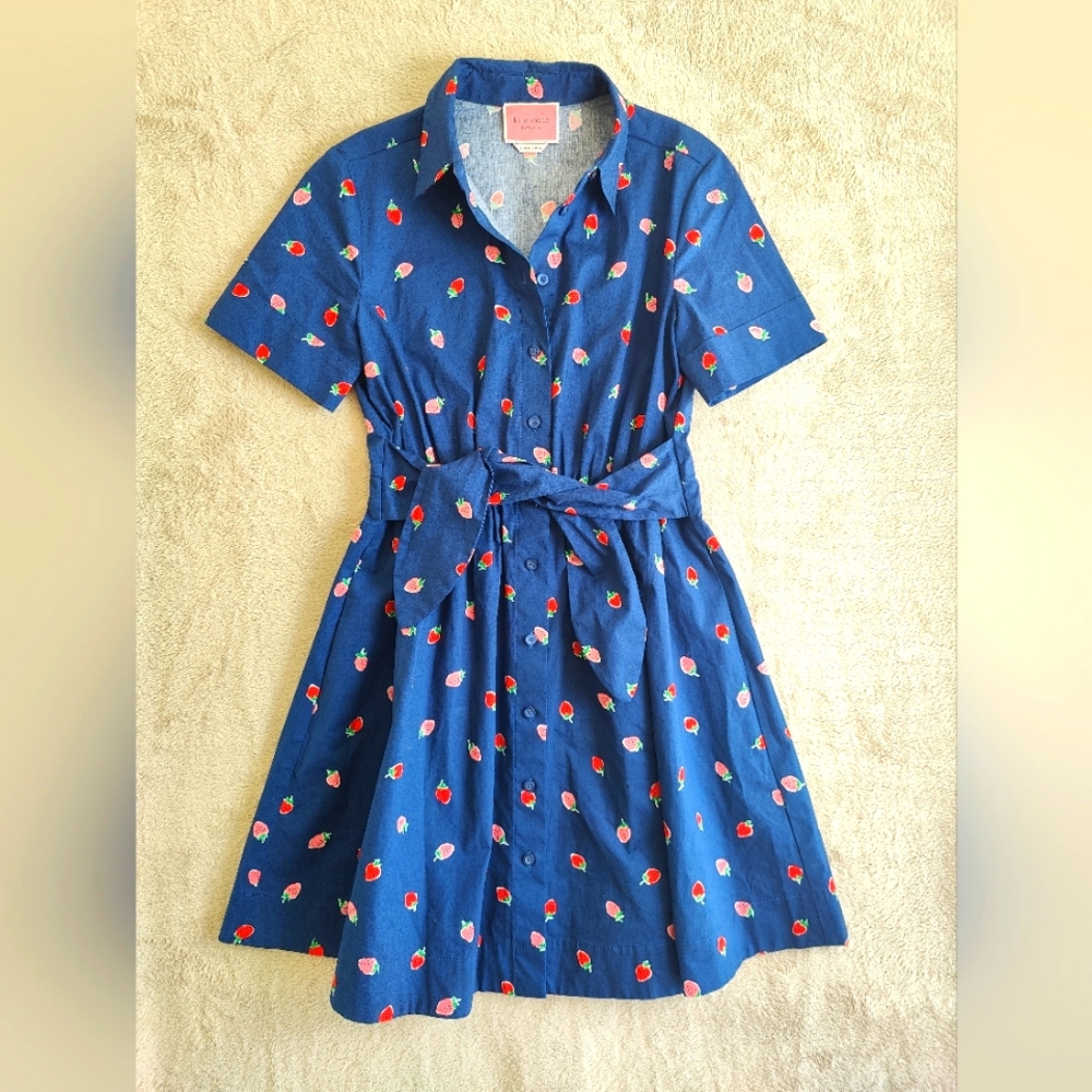 Kate Spade French Navy Strawberry Print Shirt Dress